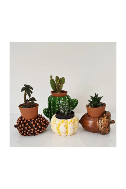 Karpier Home  Household