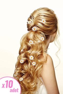 Karpier Home  Accessory